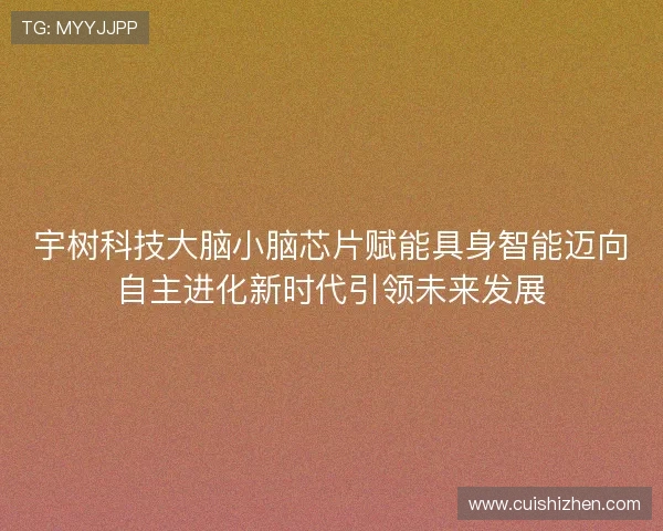 宇树科技大脑小脑芯片赋能具身智能迈向自主进化新时代引领未来发展