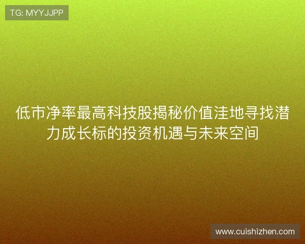 低市净率最高科技股揭秘价值洼地寻找潜力成长标的投资机遇与未来空间